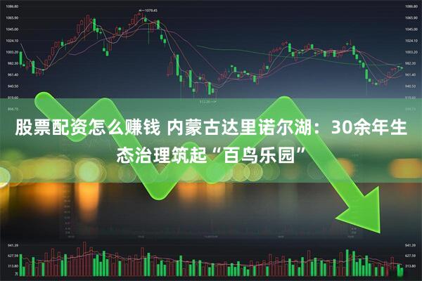 股票配资怎么赚钱 内蒙古达里诺尔湖：30余年生态治理筑起“百鸟乐园”